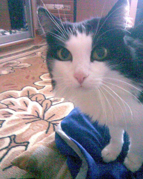 Валентина Валентина