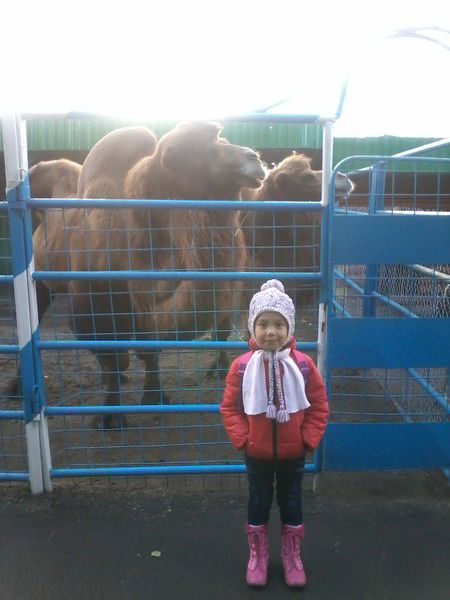 Дария Сейсекова