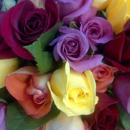 Шынара Шынара