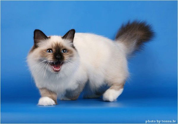 Людмила Людмила