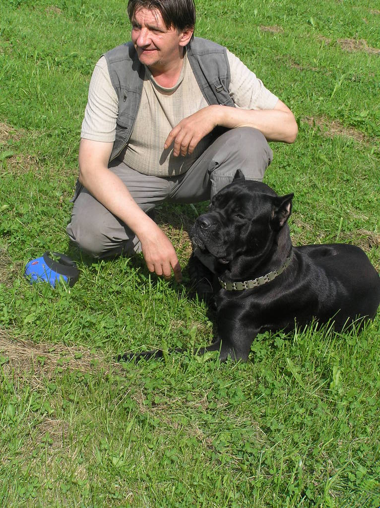 Михаил Лебедев