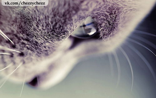 Айсулу Капарова