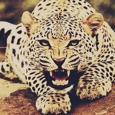 Даниил Смернов