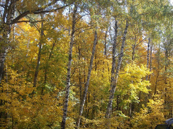 Алексей Костюков