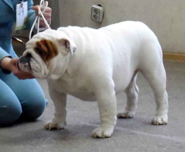 Ирина Умнова