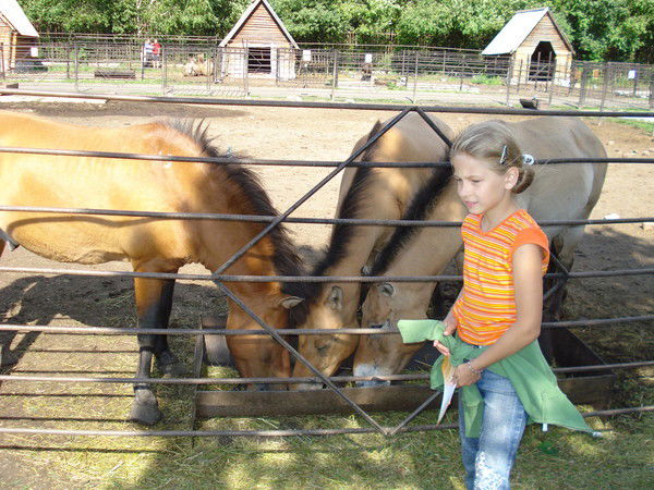 Дарья Дацкевич