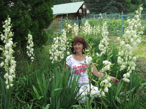 Ольга Левченко