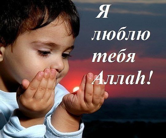 Бехзод Солихов