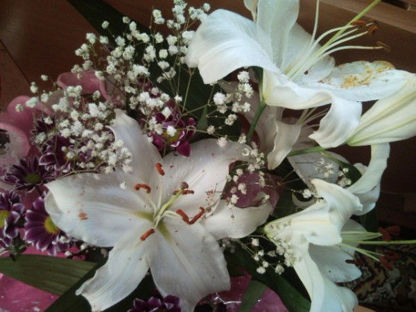 Екатерина )