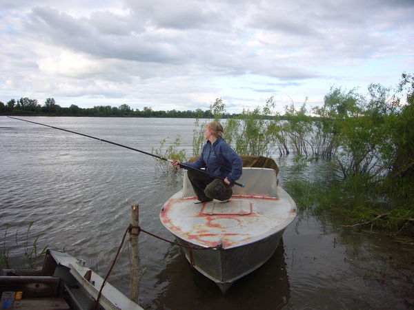 Елена Толкачева