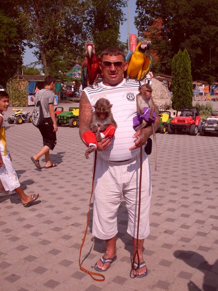 Валерий Старцев