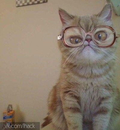 Кирилл Шкулев