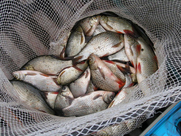 Александр В