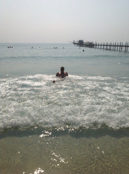 Алексей Рогожников