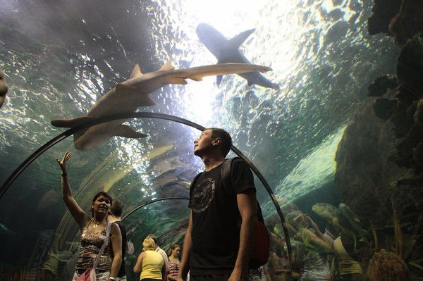 Олег Кузнецов