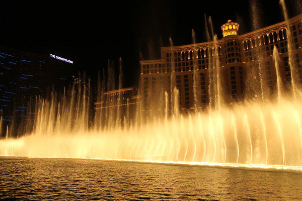 Елена Чаленко