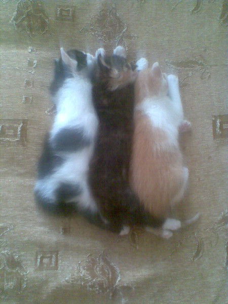 Алинка-Малинка Алинка