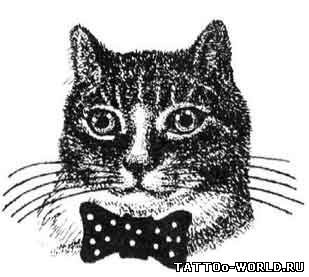 Владислав (Кот)