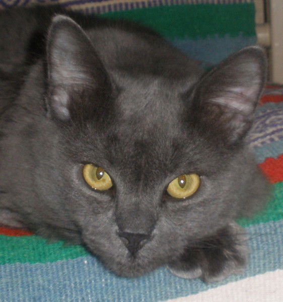 Владимир Гусев