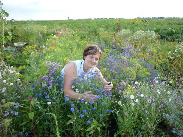 Надежда Котенкова Кастальская