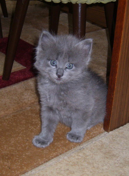 Жанна Белая