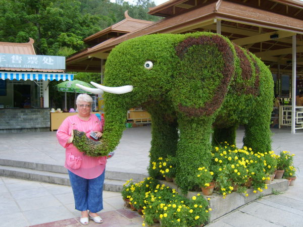 Марина Алешкова