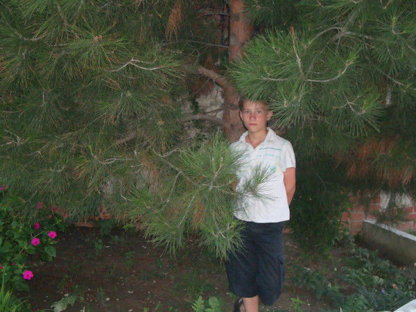 Никита Бородулин