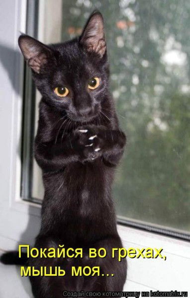 Алексей Ustor