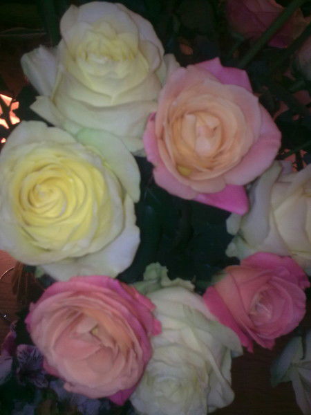 Aigerim Kazhiakhmetova