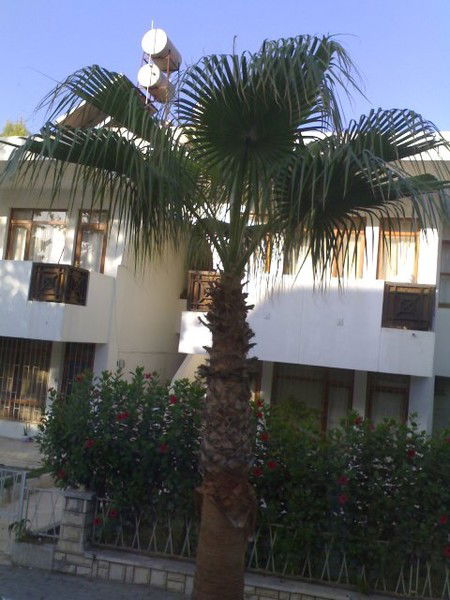 Карима Мусаева