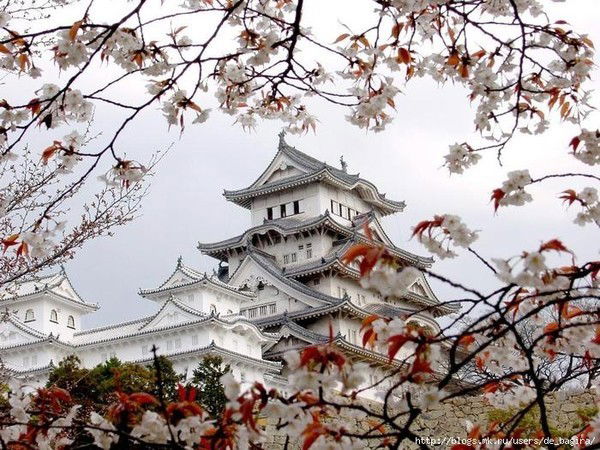 Алексей Чернобров