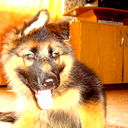 Екатерина Гущина