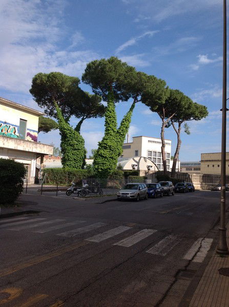 Марина Головко-Медвед