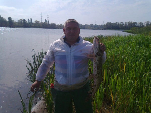 Юрий Загорулько