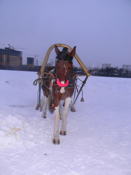 Кристина Ипатова