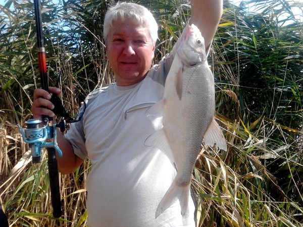 Сергей Череватенко