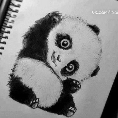 Евгения Коломейцева