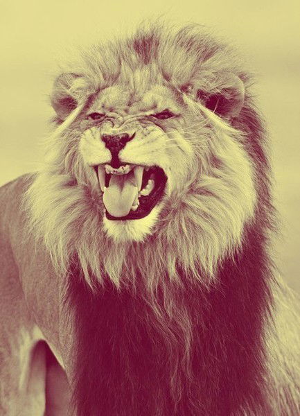 Максим Румянцев