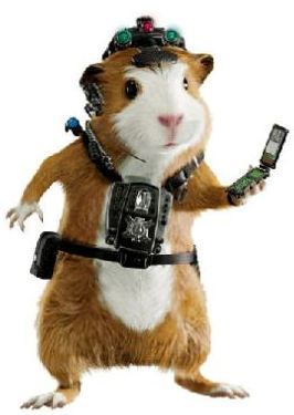 Глеб Васильев