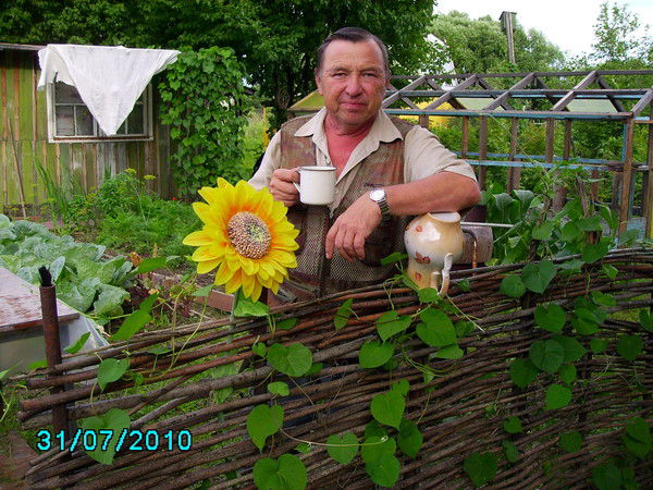 Виктор Шохирев