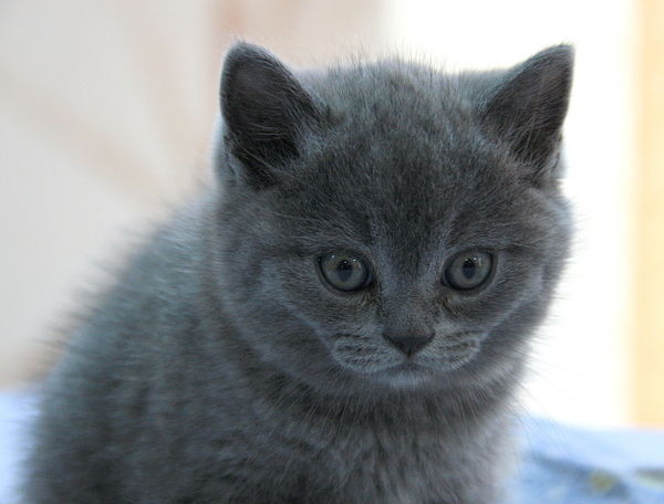 Неизвестно Неизвестно