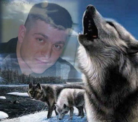 Олег Волков