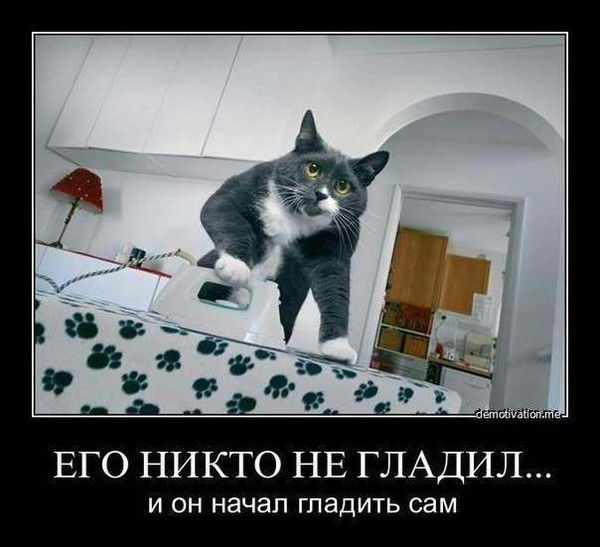 Вадим Знаменщиков