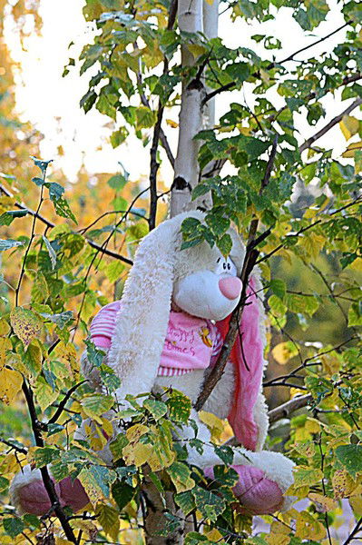 Ирина Погарская