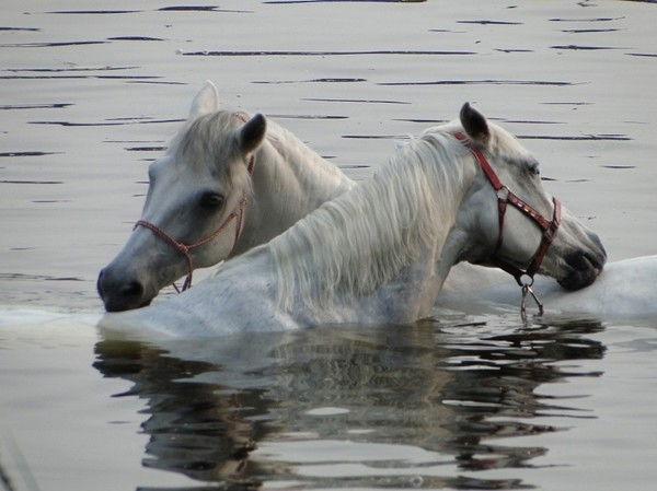 Виктория Александровна