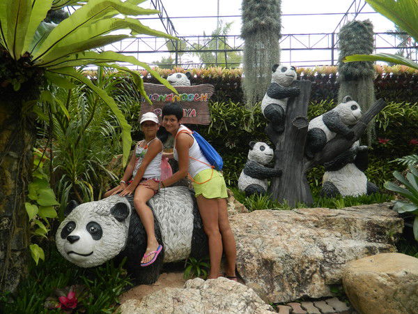 Нина Завидовская