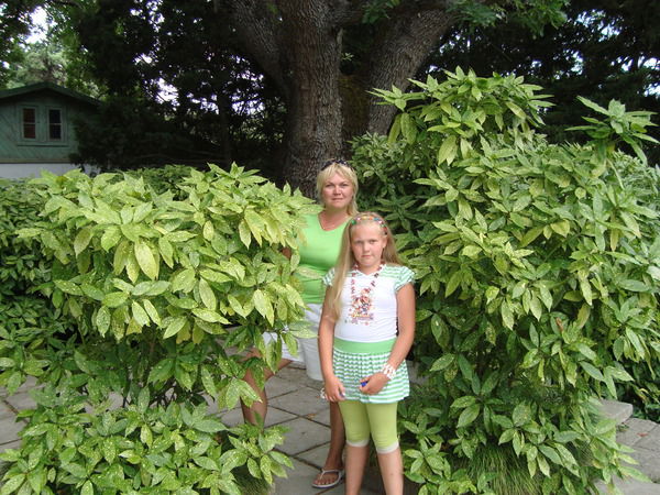 Ирина Стефанович