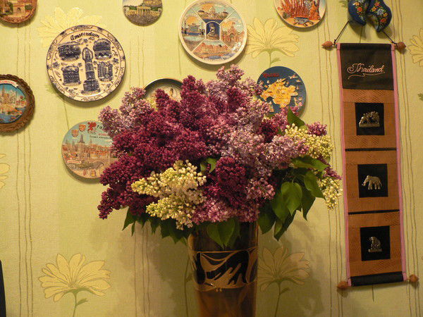 Владимир Капитанов