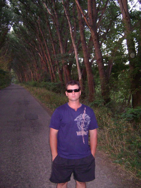 Сергей Соловьев