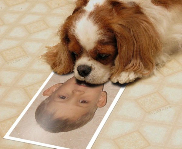 Кирилл Гузенко